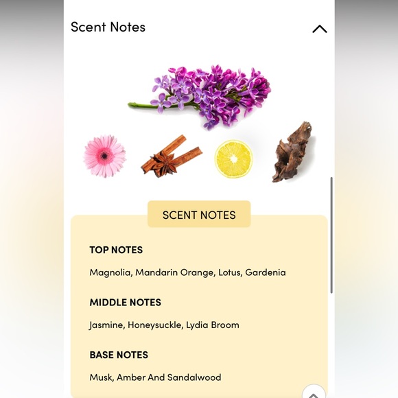 New Coach Signature Perfume - Picture 5 of 6